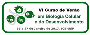 Vi Curso de Verão